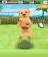 Dogz screenshot 24