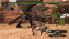 Monster Hunter Freedom screenshot 21