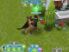 The Sims FreePlay screenshot 2
