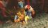 Super Street Fighter IV 3D Edition screenshot 19