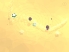 Breath of Light screenshot 7