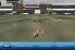 Cricket Captain 2010 screenshot 2