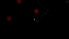 Dark Echo screenshot 7