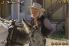 Mad Dog McCree screenshot 4
