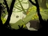 Lara Croft GO screenshot 11