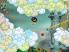 Rogue Sky screenshot 4