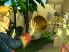 Monkey Island Tales 1 HD screenshot 3