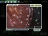 FTL: Faster Than Light screenshot 15