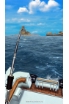 Ace Fishing - Peche en HD screenshot 1