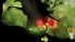 Puddle+ screenshot 2