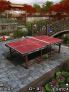 Table Tennis Star screenshot 2