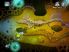 Squids screenshot 6