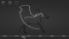 Find The Line screenshot 7