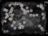 Splode screenshot 1