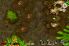 Anthill screenshot 6