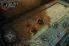 Lara Croft and the Guardian of Light screenshot 11