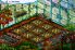 Cloud Village screenshot 4
