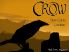 Crow screenshot 9