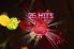 Fruit Ninja Classic screenshot 20