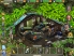 Survivors : La Quête screenshot 2