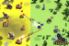 Little Conquest screenshot 2