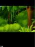 Puzzle Expedition screenshot 7