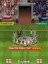 2010 FIFA World Cup South Africa screenshot 7