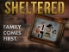 Sheltered screenshot 5