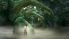 Peter Jackson's King Kong: The Official Game of the Movie screenshot 3