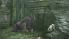 Peter Jackson's King Kong: The Official Game of the Movie screenshot 7