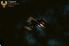 Galaxy on Fire 2 screenshot 21