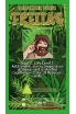 Friday - by Friedemann Friese screenshot 2