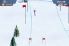 Ski Champion screenshot 1