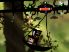 Puddle screenshot 9