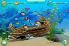 Dolphin Play screenshot 5