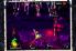Shoot The Zombirds screenshot 4