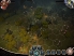 BattleLore: Command screenshot 1