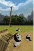 National Geographic Panda screenshot 12