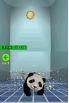 National Geographic Panda screenshot 18