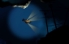 The Veil screenshot 1