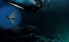 The Veil screenshot 3