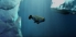 The Veil screenshot 4