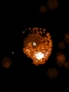 FireWhip screenshot 3
