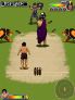 Gladiator Kricket screenshot 7