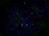 Miniverse screenshot 7