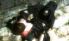 Resident Evil: The Mercenaries 3D screenshot 33