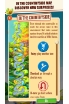 Mille Bornes screenshot 3
