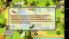 Tank Riders screenshot 4