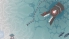 Ophidia screenshot 5