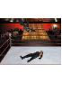 WWE 2009 screenshot 8